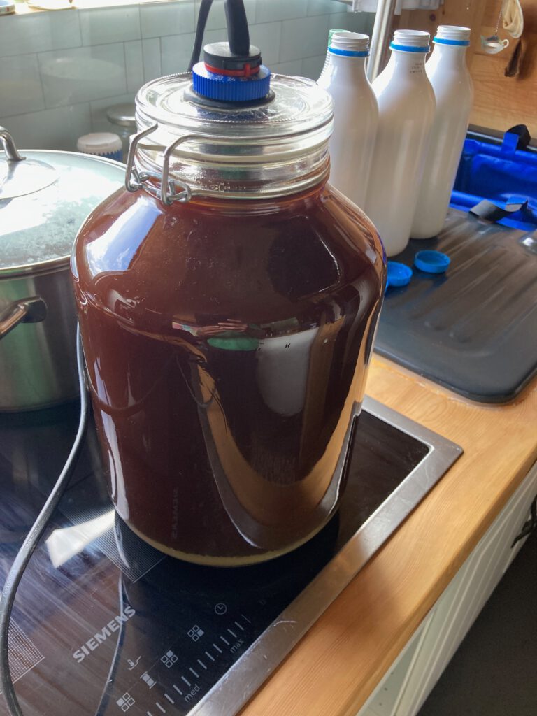 Fertiges EM nach 6 Tagen Fermentation.