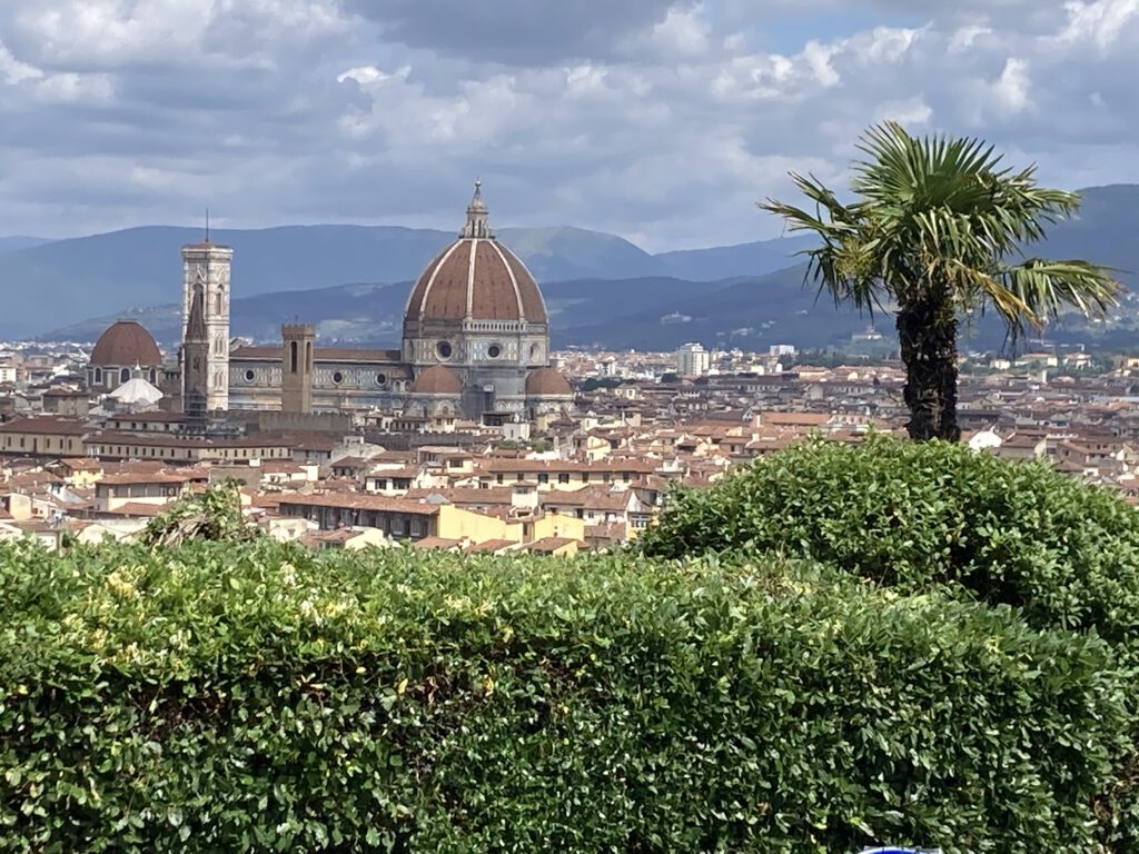 Florenz von oben