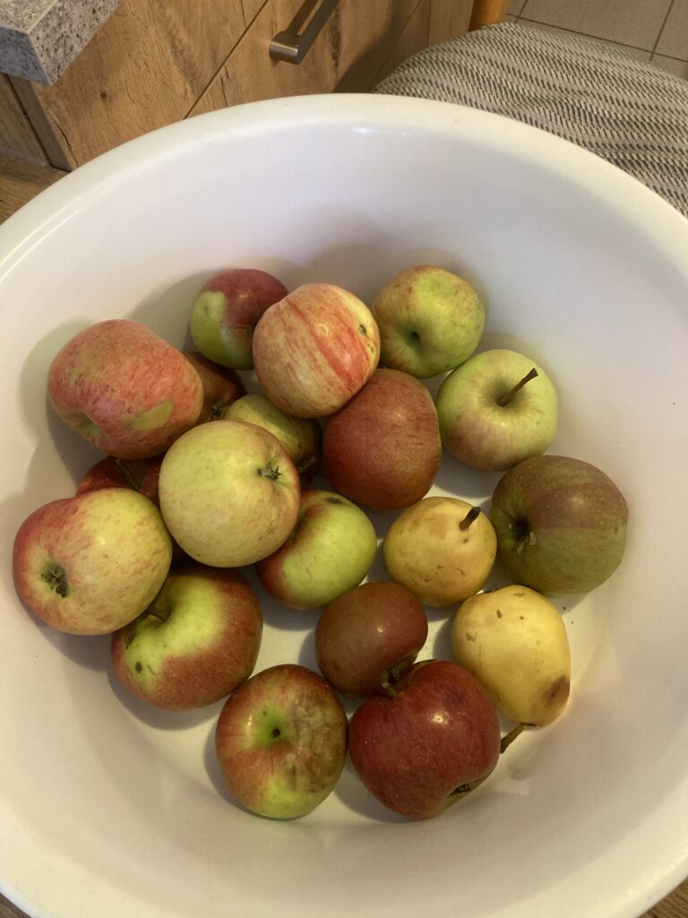 Äpfel