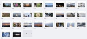 Südlicht - Übersicht 2 über alle Bilder