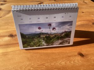 Südlicht - Wochenkalendere 2026 Aussteller DIN A5