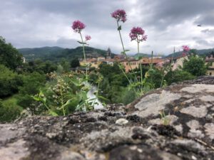 Südlicht - Wochenkalender 2026 - Beispielbild Blumen auf Steinmauer vor Ortschaft